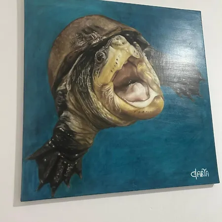 Nyaraló Sa Domixedda Di Caterina Villasimius